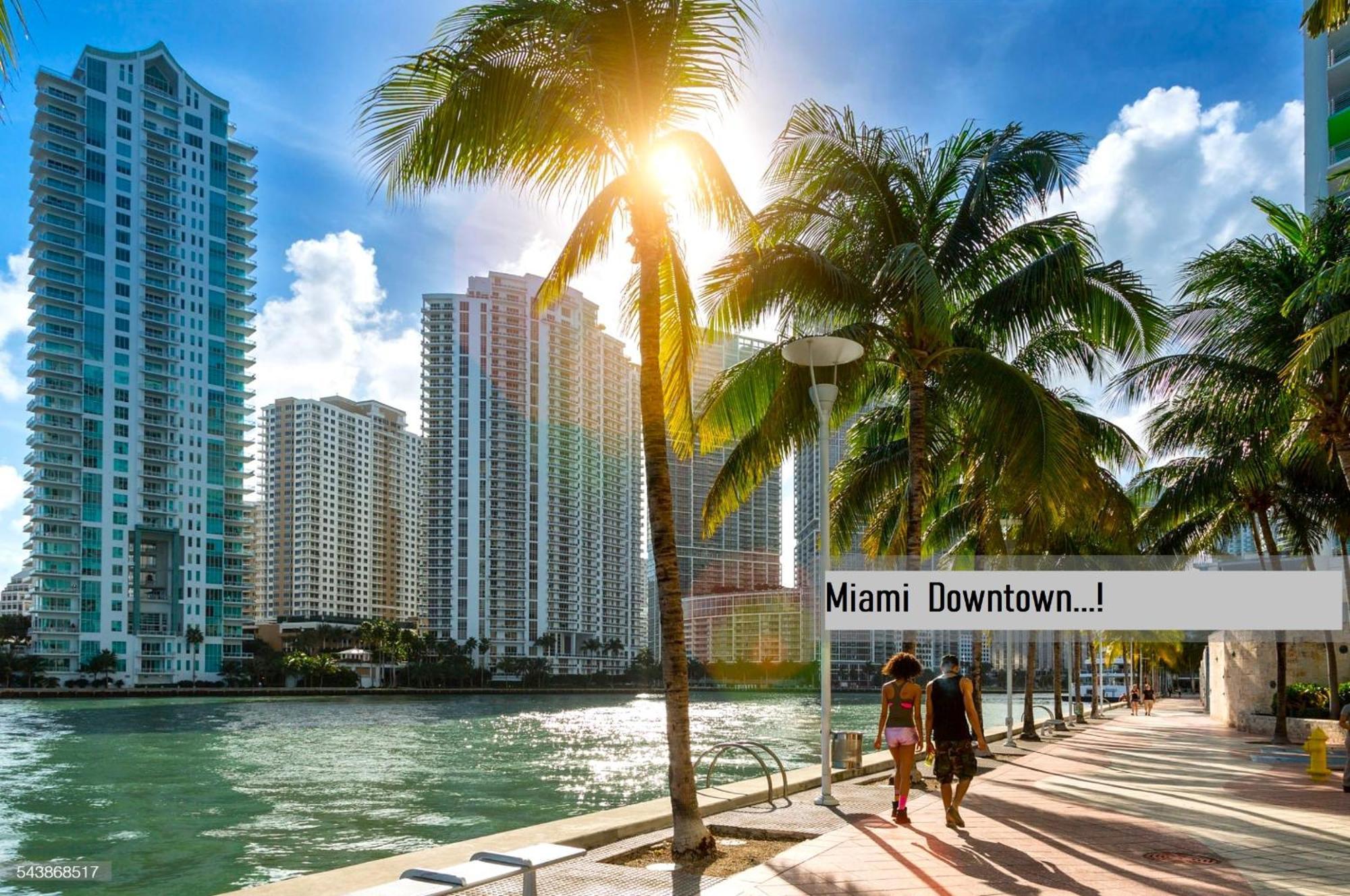 Experience The Perfect Miami Life!! Centrally Located Luxury Condo! Екстериор снимка